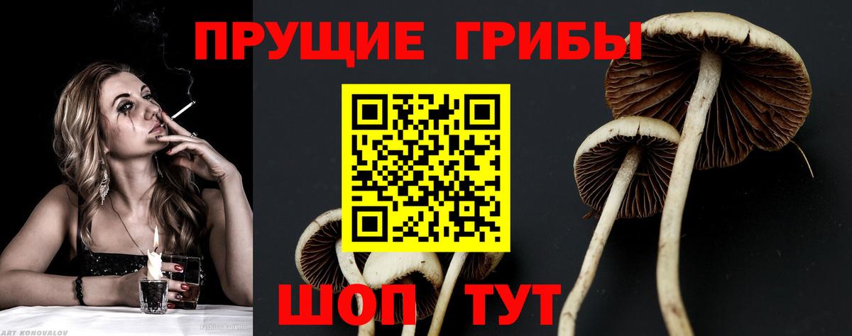 Псилоцибиновые грибы мицелий Назарово